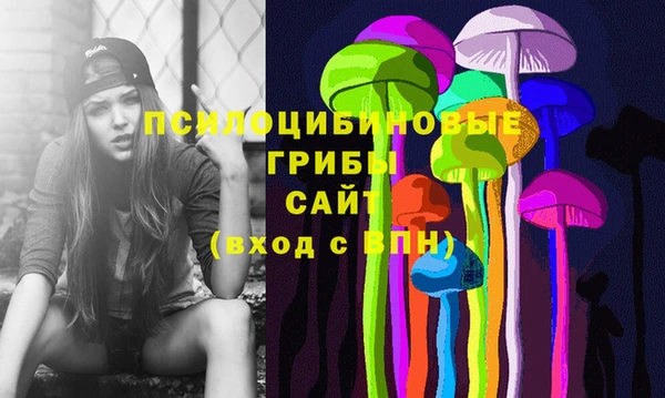 спайс Богородск