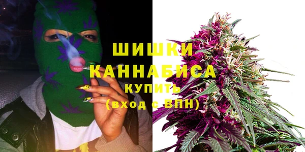 спайс Богородск