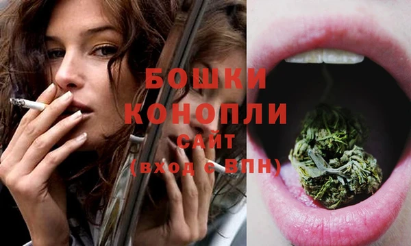 трава Богданович